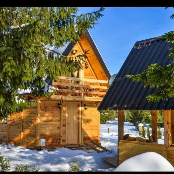 Tisina Tare Villa Bajina Basta Exterior photo